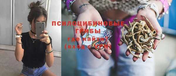 твердый Алзамай