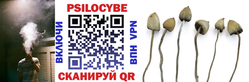 Псилоцибиновые грибы Psilocybine cubensis  это клад  Чёрмоз 